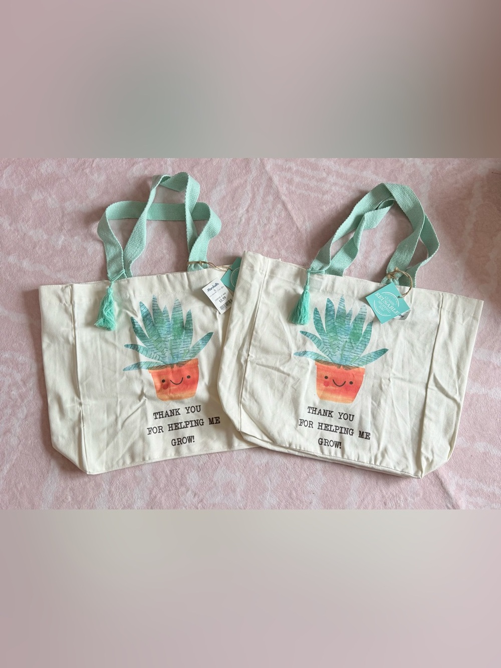 🪴 Help me Grow set of 2 Large Canvas Tote Bags 🪴